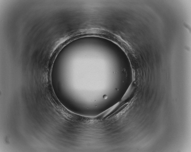 X0000097641166200802291357