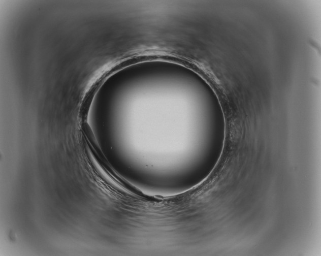 X0000097641167200802291357