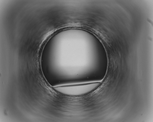 X0000097641168200802291357