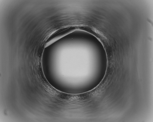 X0000097641169200802291357