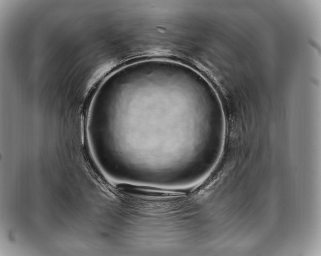 X0000097641171200802291357