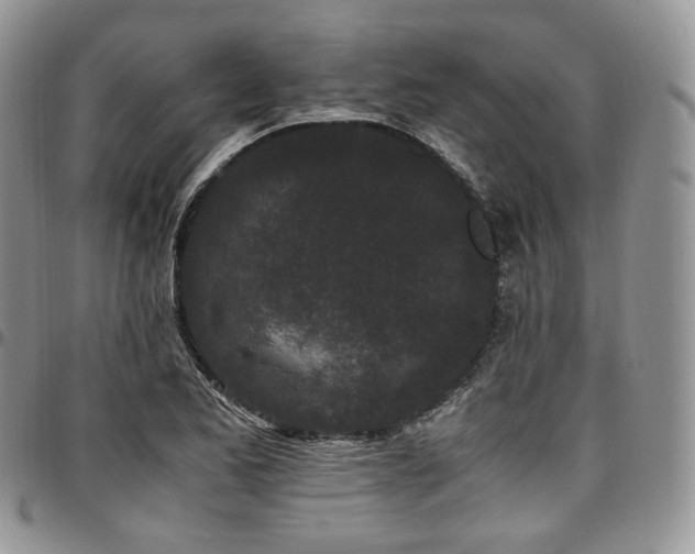 X0000097641173200802291357
