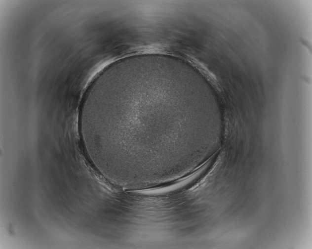 X0000097641174200802291357