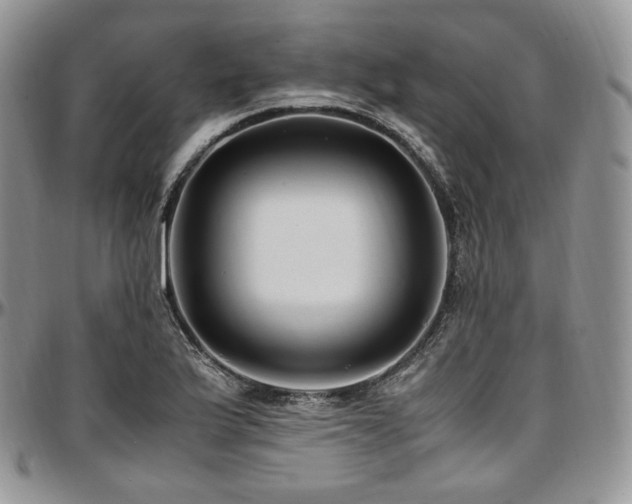 X0000097641175200802291357