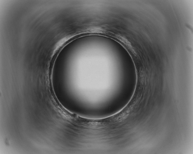 X0000097641176200802291357