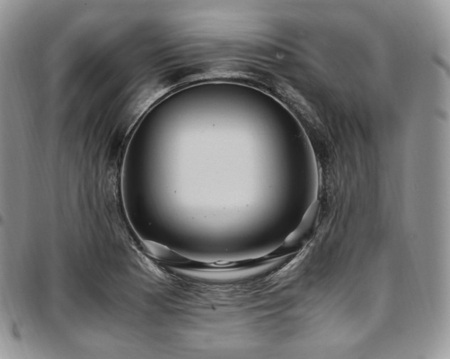X0000097641177200802291357