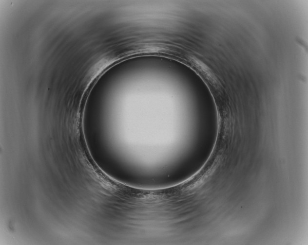 X0000097641178200802291357