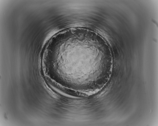 X0000097641179200802291357