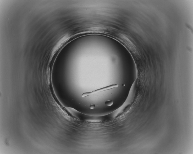 X0000097641180200802291357
