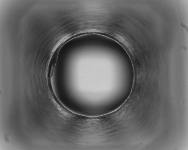 X0000097641181200802291357