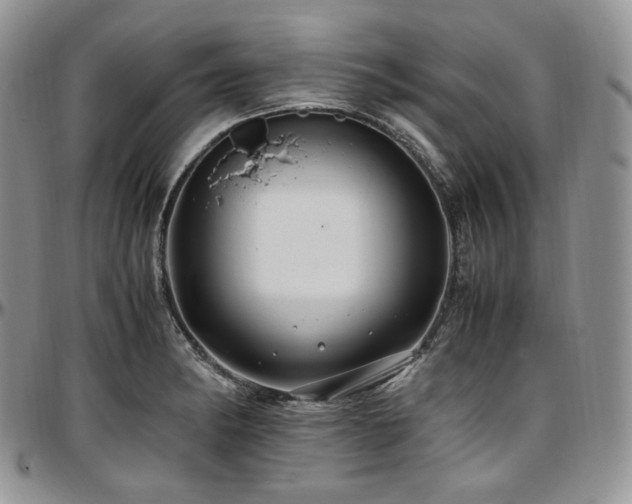 X0000097641182200802291357