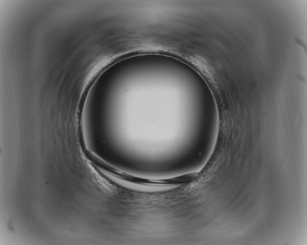 X0000097641183200802291357
