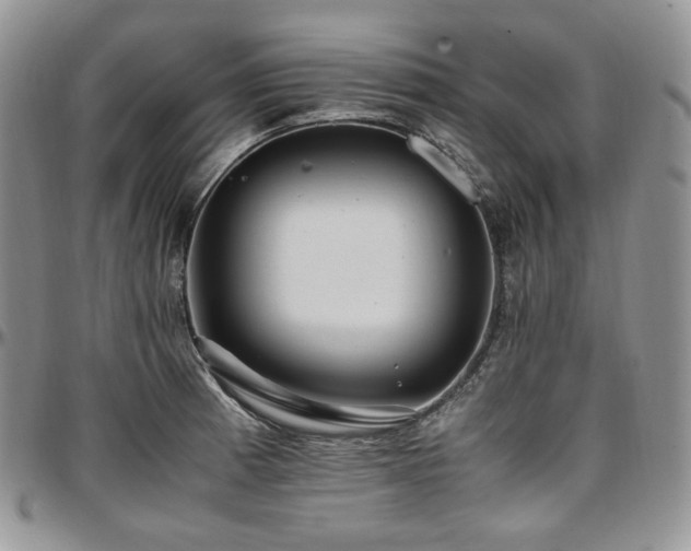 X0000097641185200802291357
