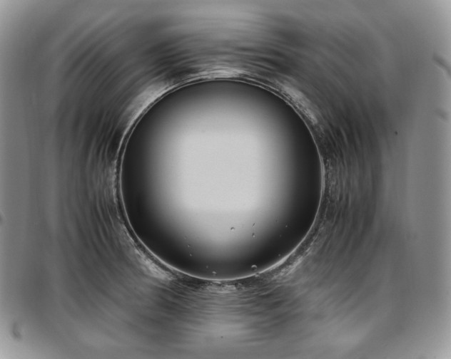 X0000097641186200802291357