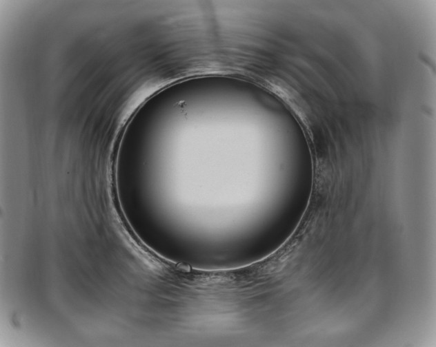 X0000097641187200802291357