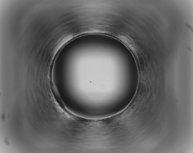 X0000097641189200802291357