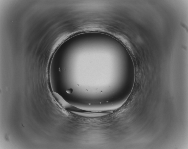 X0000097641191200802291357