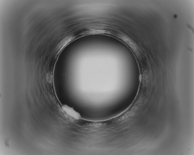 X0000097641193200802291357