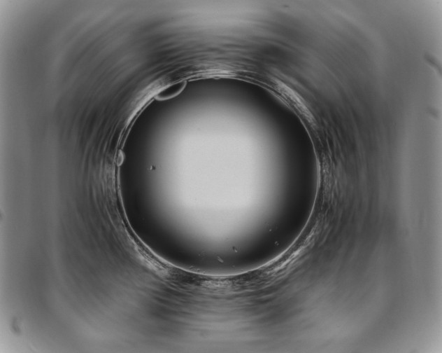 X0000097641194200802291357