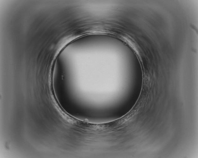 X0000097641195200802291357