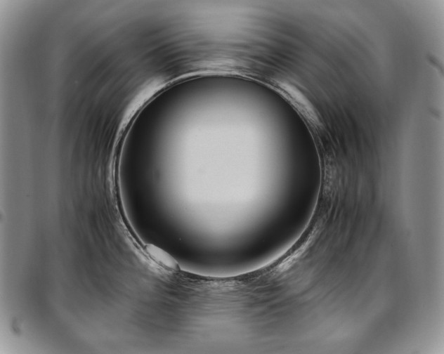 X0000097641196200802291357