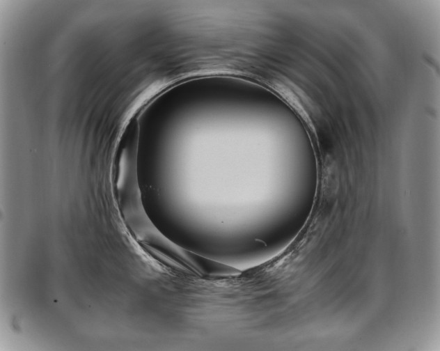 X0000097641197200802291356