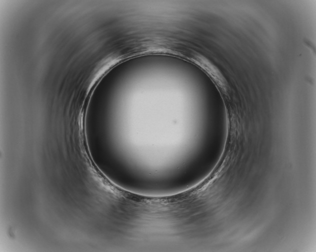 X0000097641198200802291356