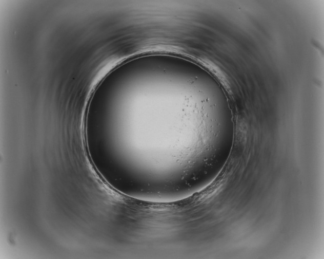 X0000097641199200802291356