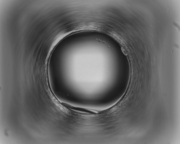 X0000097641200200802291356