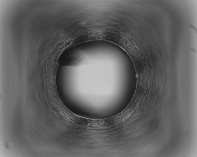 X0000097641201200802291356