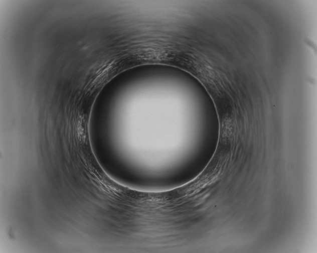 X0000097641202200802291356