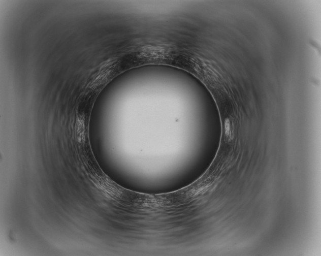 X0000097641203200802291356