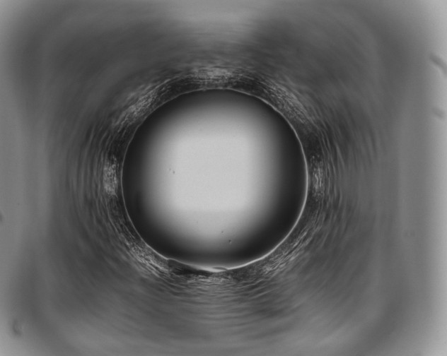 X0000097641204200802291356