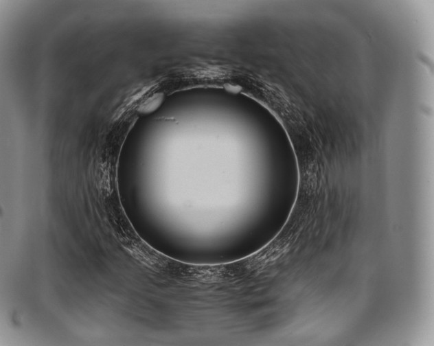 X0000097641205200802291356