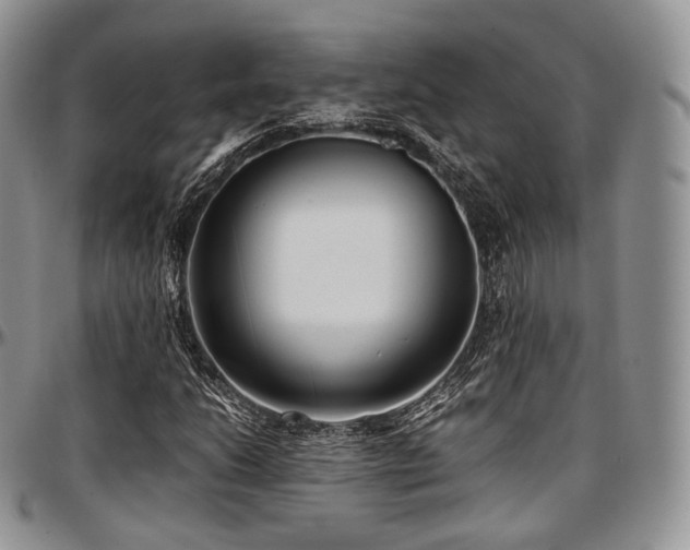 X0000097641206200802291356
