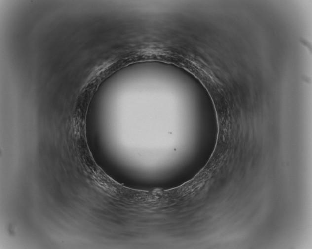 X0000097641207200802291356