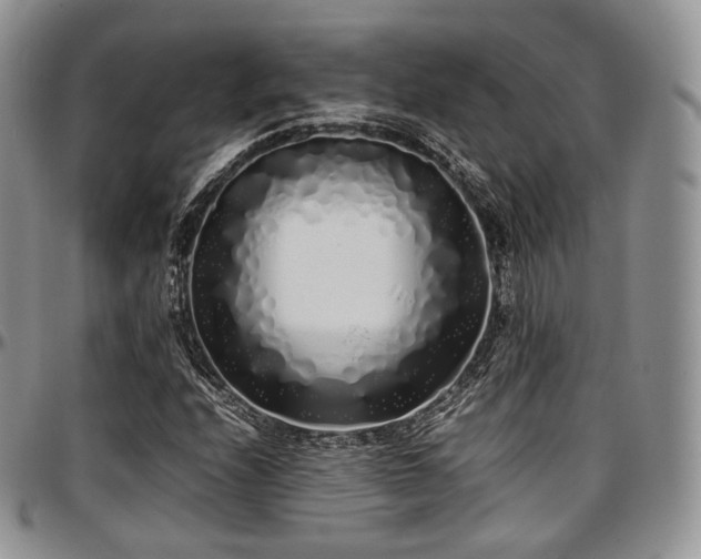 X0000097641208200802291356