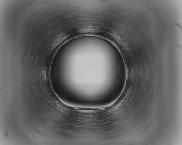 X0000097641209200802291356