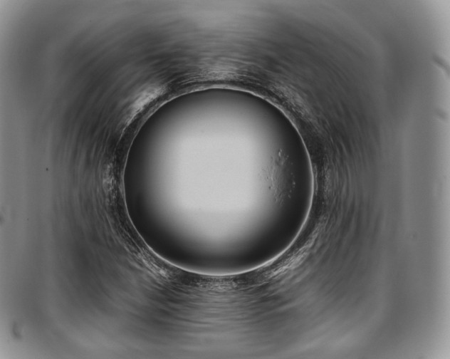 X0000097641210200802291356