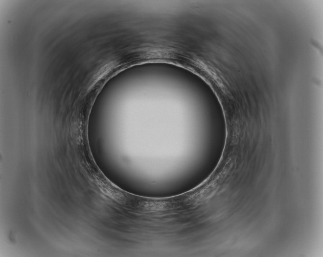 X0000097641211200802291356