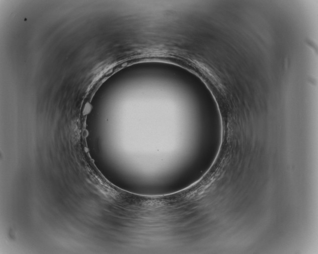 X0000097641212200802291356