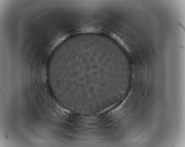 X0000097641213200802291356