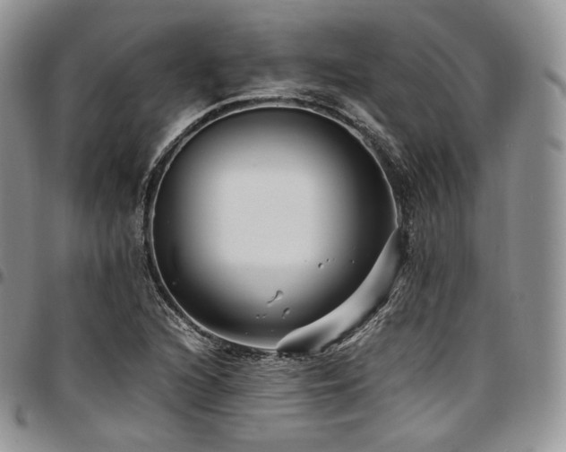 X0000097641216200802291356