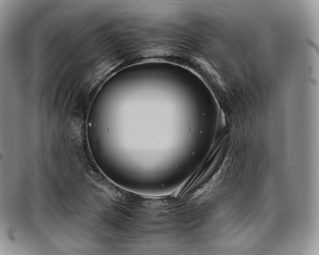 X0000097641217200802291356