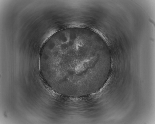 X0000097641219200802291356