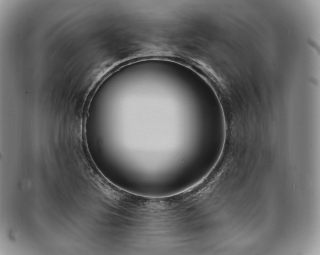 X0000097641220200802291356