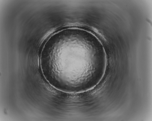 X0000097641221200802291356