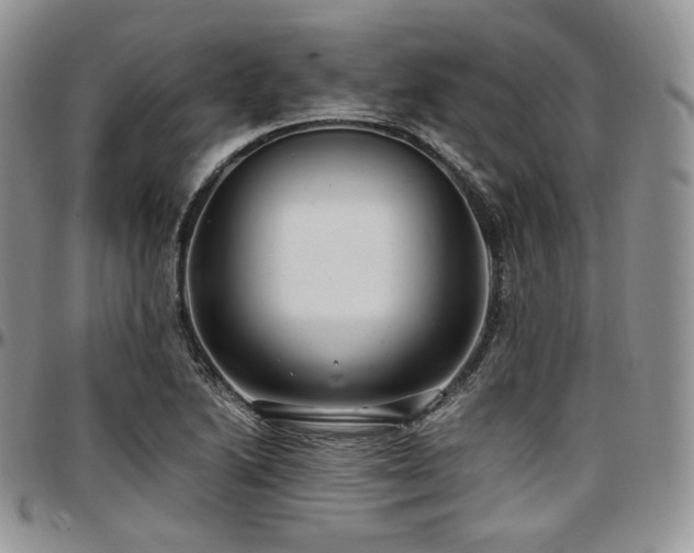 X0000097641222200802291356