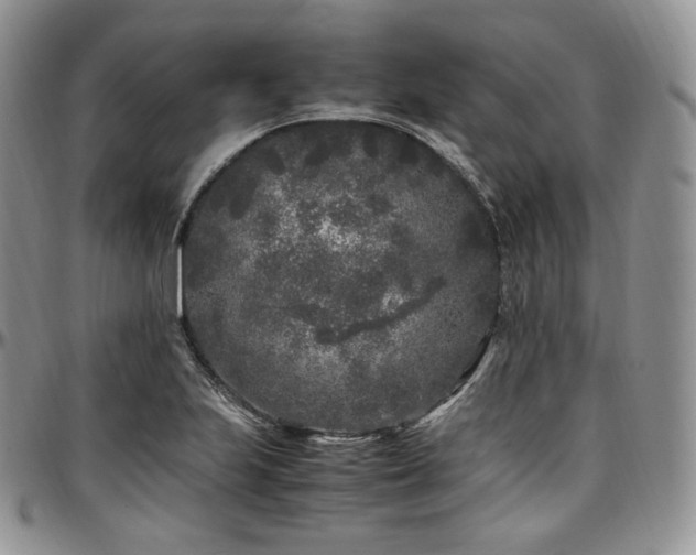 X0000097641223200802291356