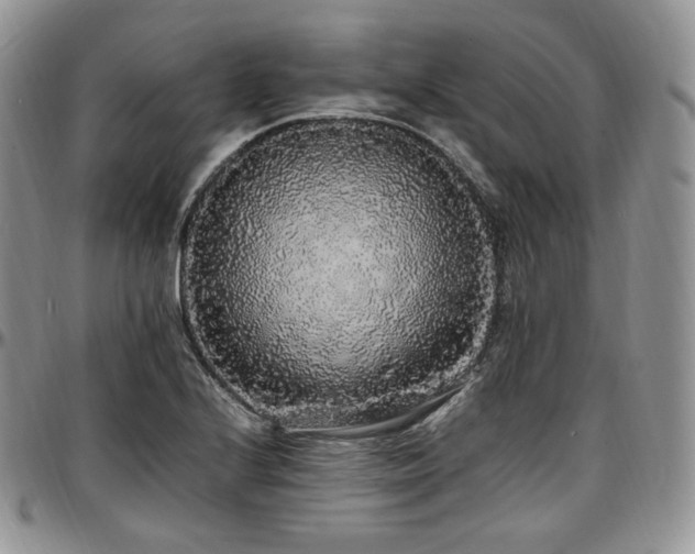 X0000097641224200802291356